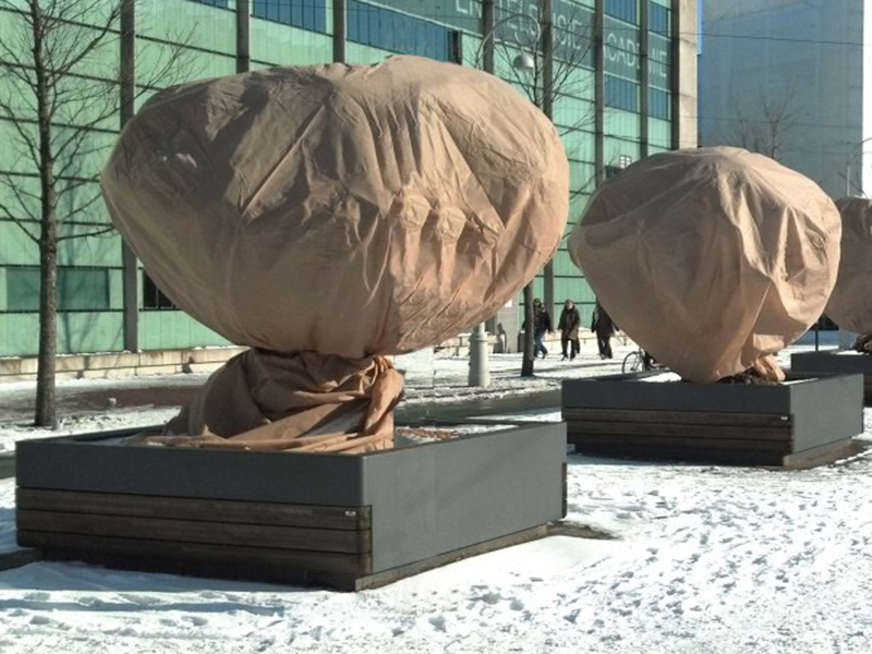 Cupa ochrana rastlin v kvetináči béžová 0,8x 1 m 2 kusy